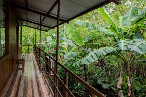 Habitación, 1 habitación, para fumadores | Áreas de la propiedad