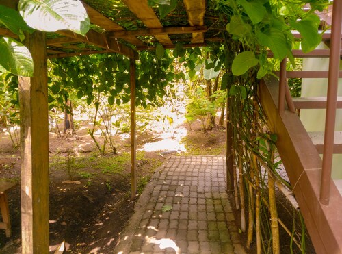 Room-arenal Xilopalo Room in Costa Rica