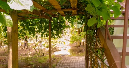 Room-arenal Xilopalo Room in Costa Rica