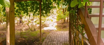 Room-arenal Xilopalo Room in Costa Rica