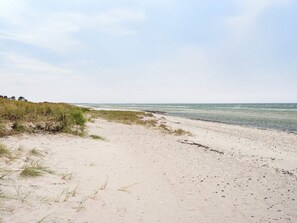 A sandy beach with sparse vegetation and a calm sea.