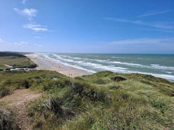 A coastal landscape with a beach, grassy dunes, and a clear sky.