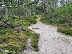 House | Miscellaneous