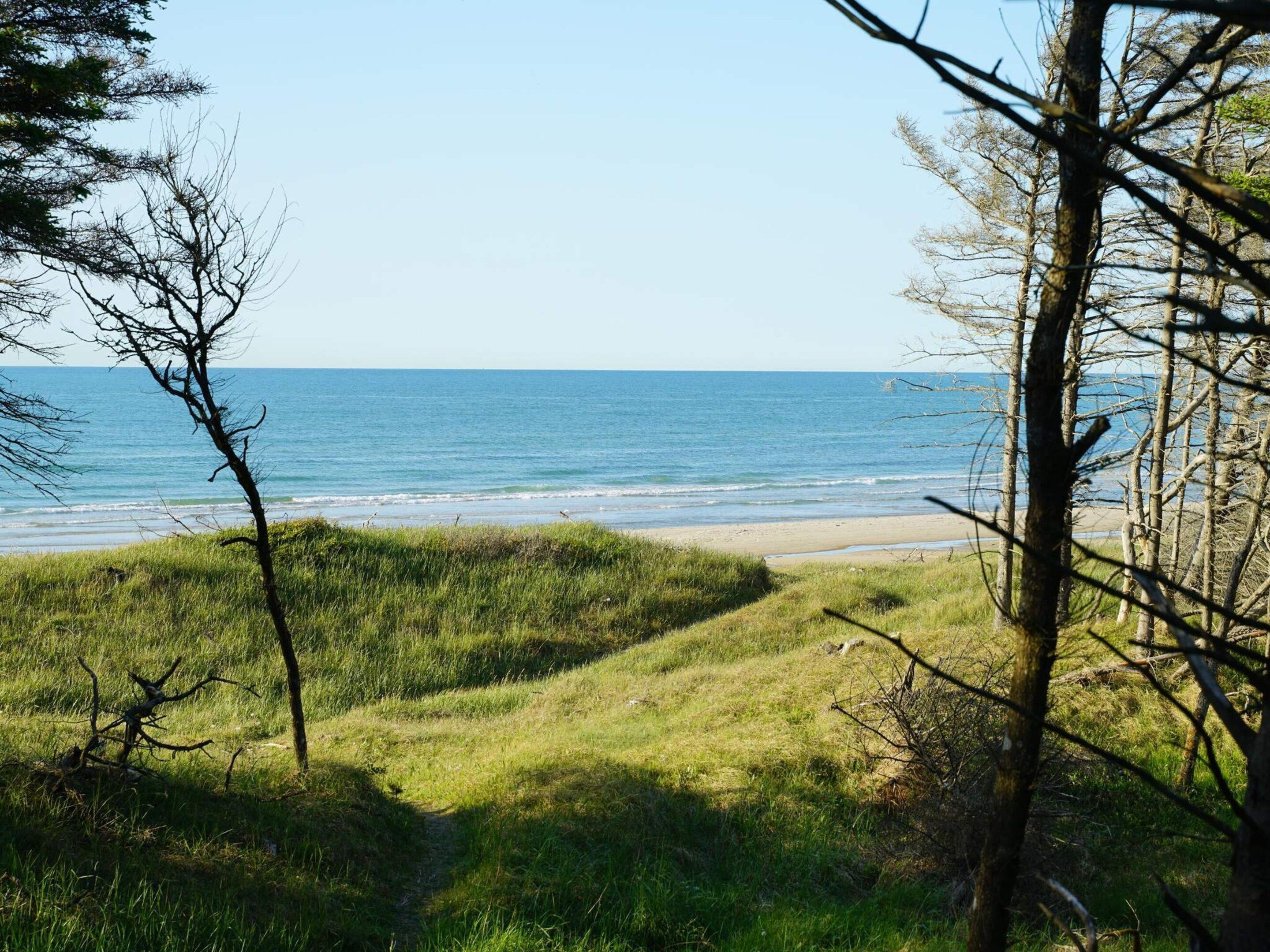 Un paysage côtier avec une végétation herbeuse et des arbres, qui s’étend jusqu’à une plage et l’océan.