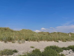 House | Miscellaneous