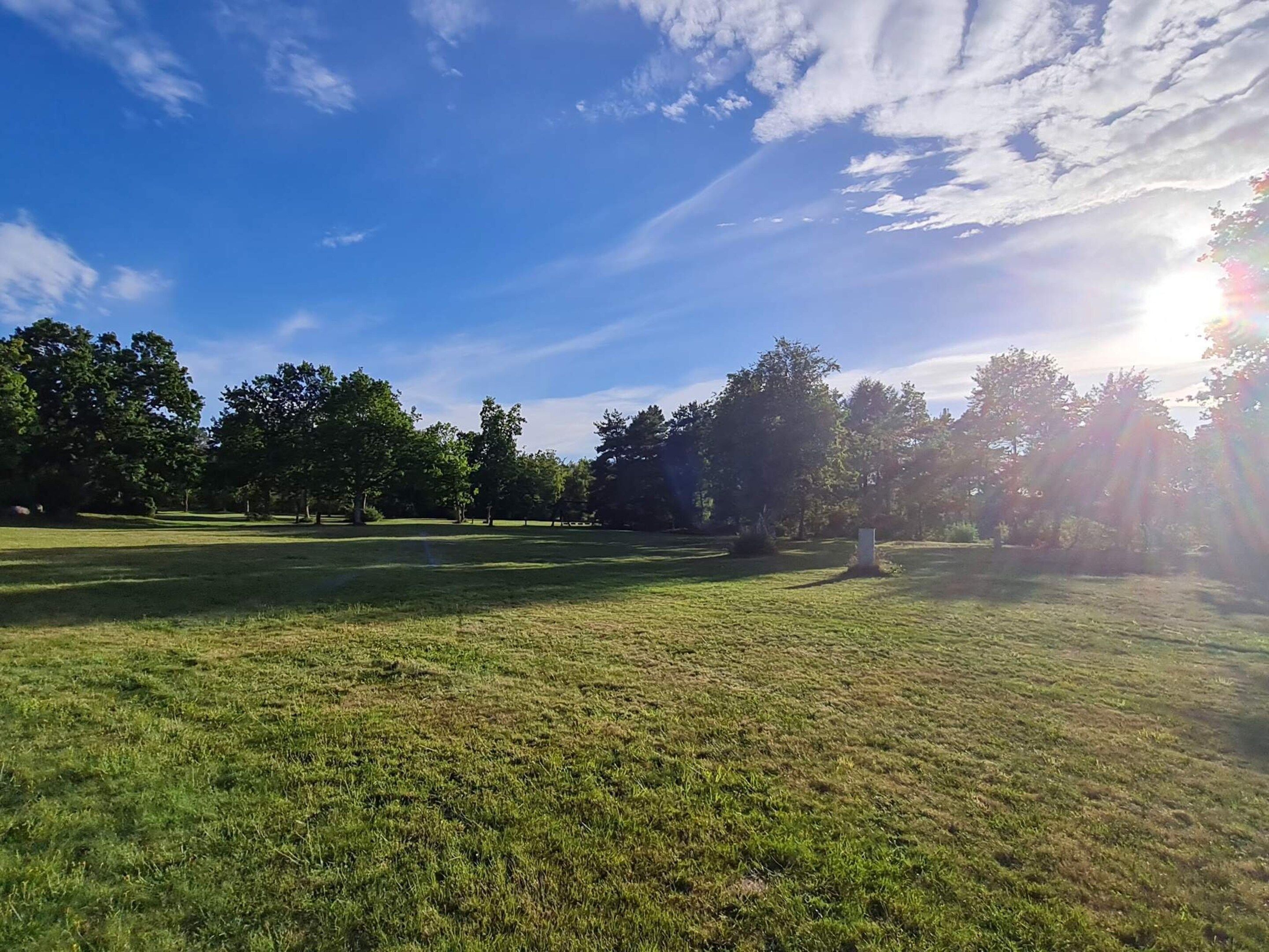 A grassy field with trees and a clear sky.