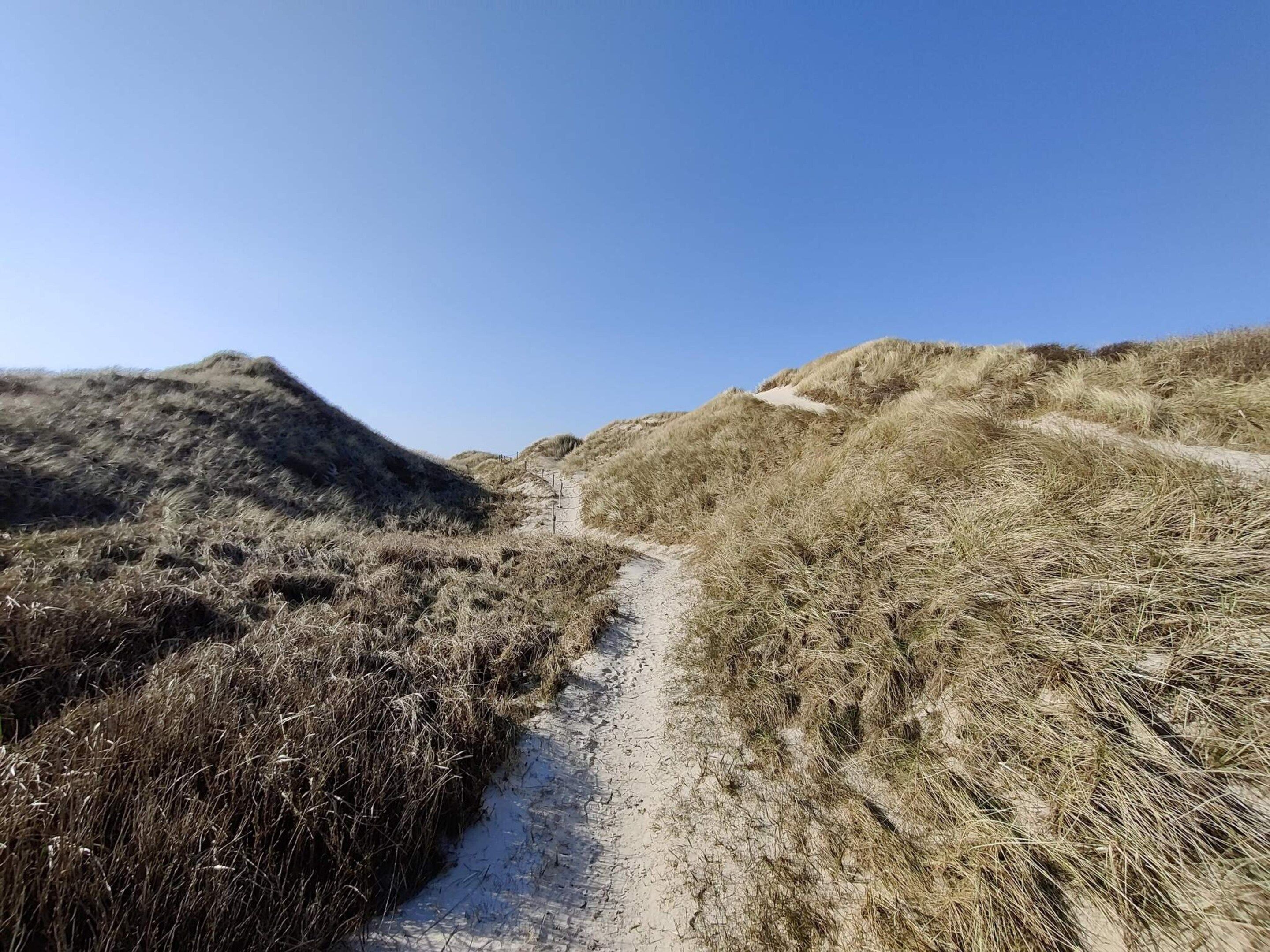 Un sendero arenoso a través de un paisaje herboso con dunas.