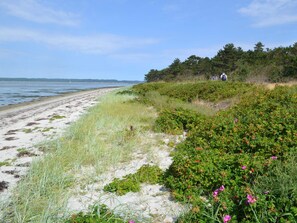 A coastal beach with sand, vegetation, and a person in the distance. - 4 Star Holiday Home in Ebeltoft (Ebeltoft)
