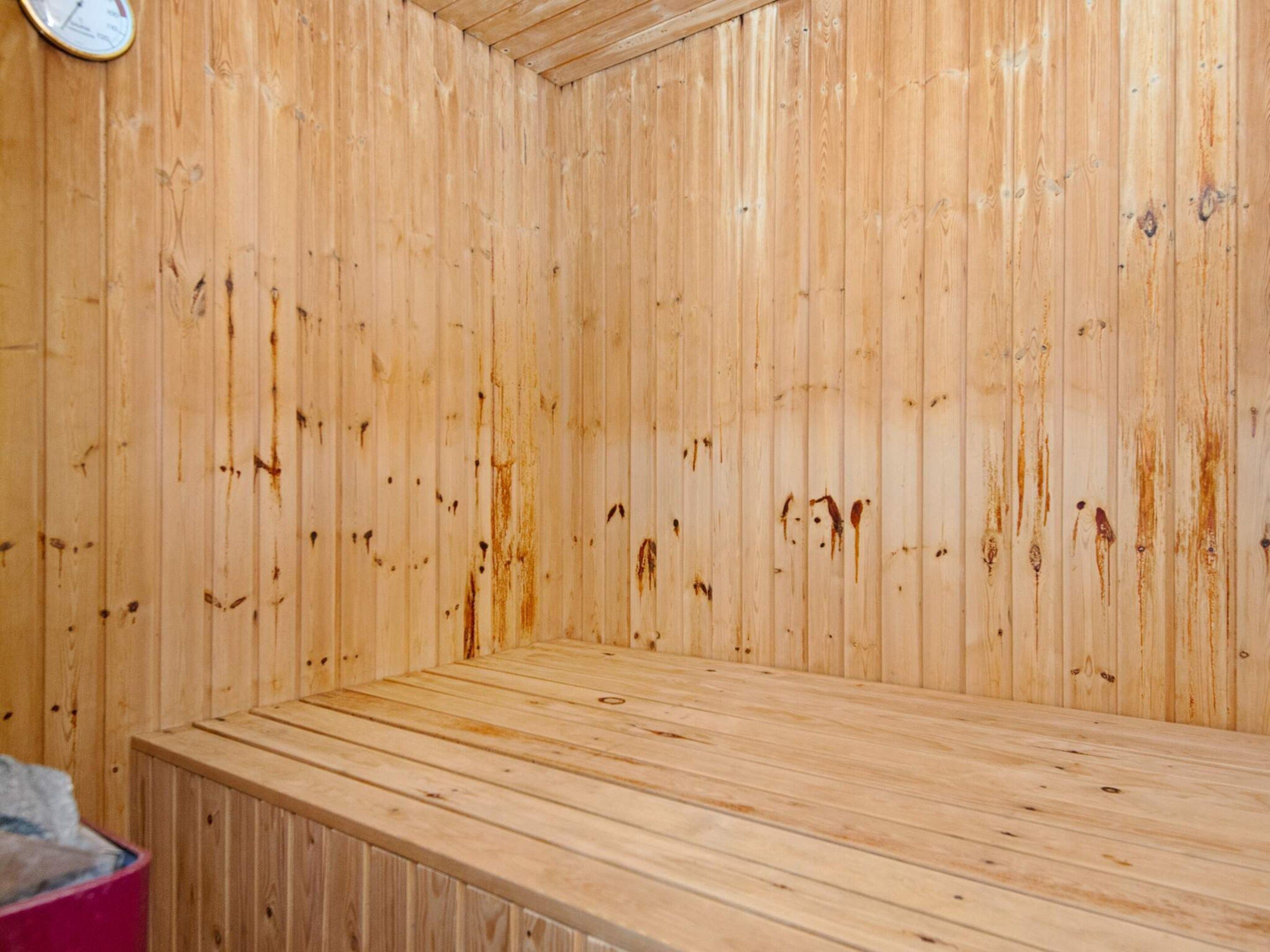 House | Sauna