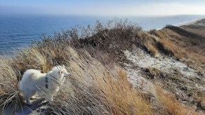 A coastal landscape with a dog in the foreground and a beach in the background. - 4 Star Holiday Home in Saeby (Sæby)