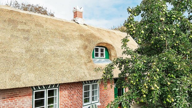 Exterior - 4 Person Holiday Home in Fanø (Fano)