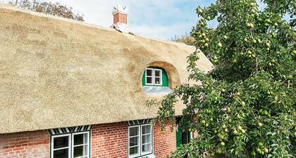 4 Person Holiday Home in Fanø