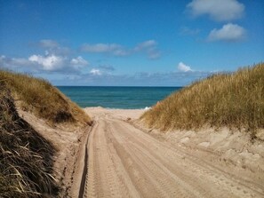 A sandy path leading to a beach with dunes on either side.