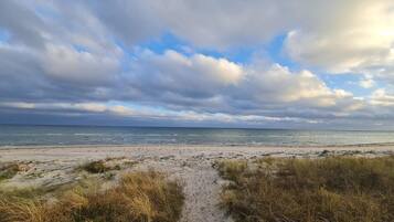 A beach path leading to the ocean with overcast skies.