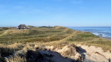 A coastal landscape with a dune system, a beach, and a house with a conical roof.