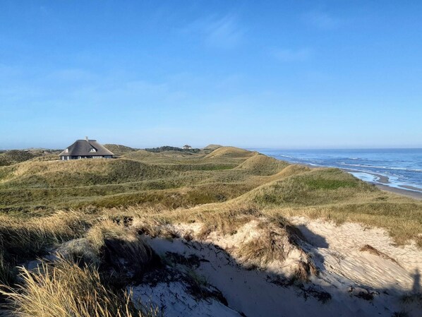 A coastal landscape with dunes, a house, and the ocean.