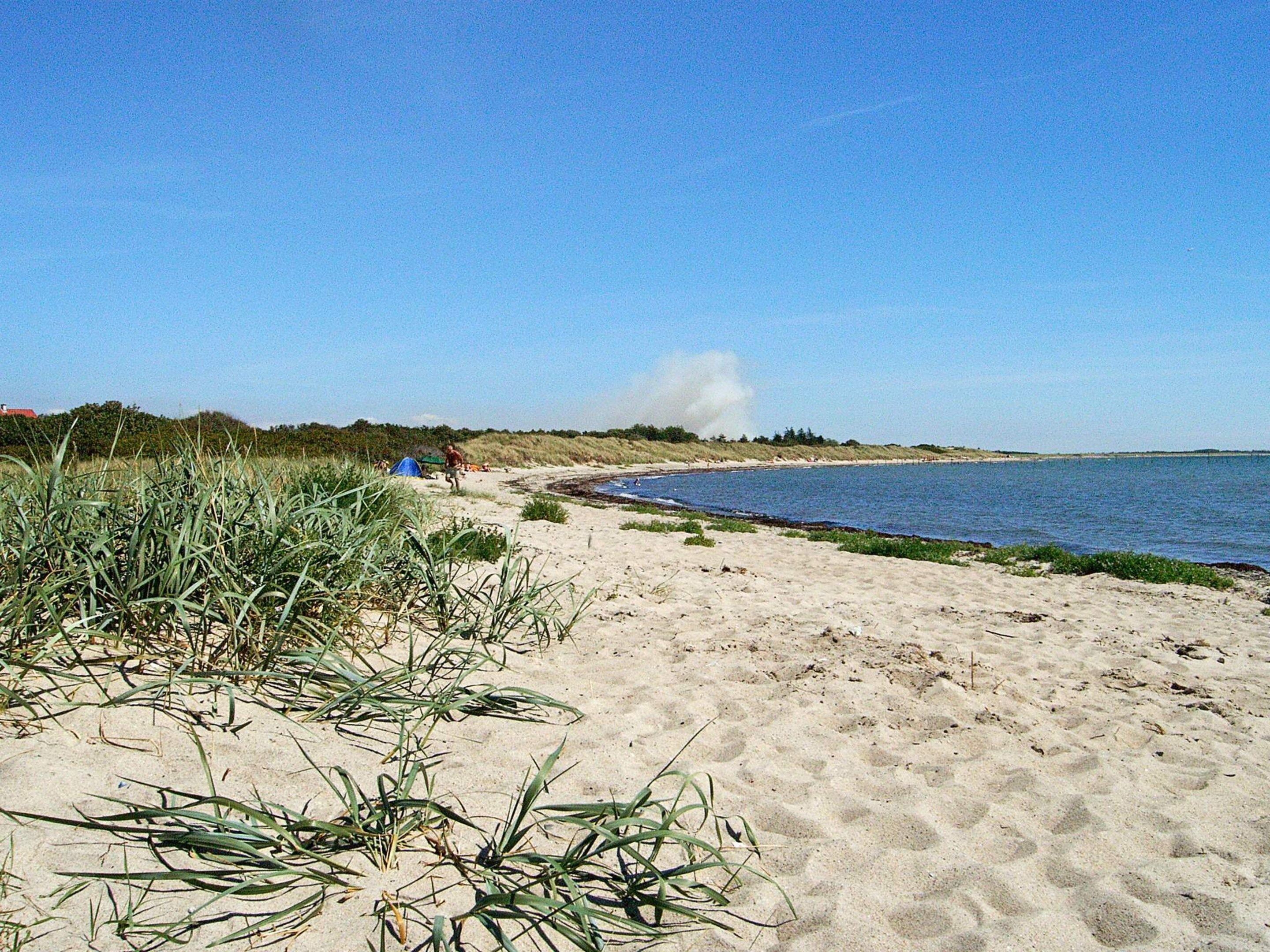 Ein sandiger Strand mit vereinzelter Vegetation und blauem Himmel.
