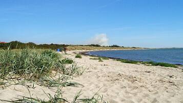 Ein sandiger Strand mit vereinzelter Vegetation und blauem Himmel.