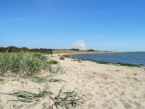 A sandy beach with sparse vegetation and a clear sky.