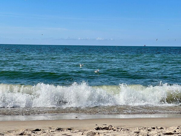 A beach with waves crashing onto the shore, a clear sky, and a few birds in the distance.