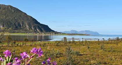 Holiday Home in Laukvik