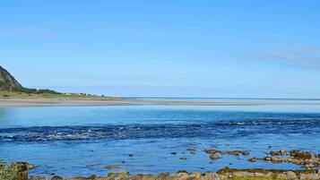 منزل | شاطئ | بالقرب من الشاطئ