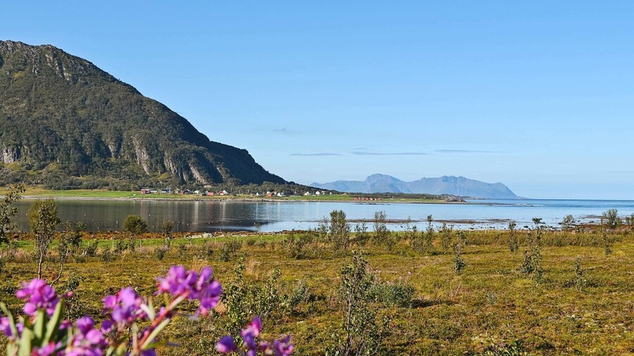 Holiday Home in Laukvik