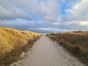 A sandy path leading to the beach, flanked by grassy dunes. - 4 Star Holiday Home in Vaeggerlose (Vaeggerlose)