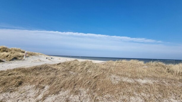 A beach with sand dunes and a clear sky. - 4 Star Holiday Home in Jerup (Jerup)