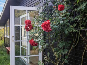 House | View from property
