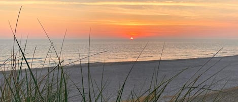 A beach with grass in the foreground and a sunset in the background.