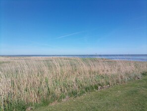 Miscellaneous - Tranquil Oasis With Pool - By Traum Ferienwohnungen (Ørsted)
