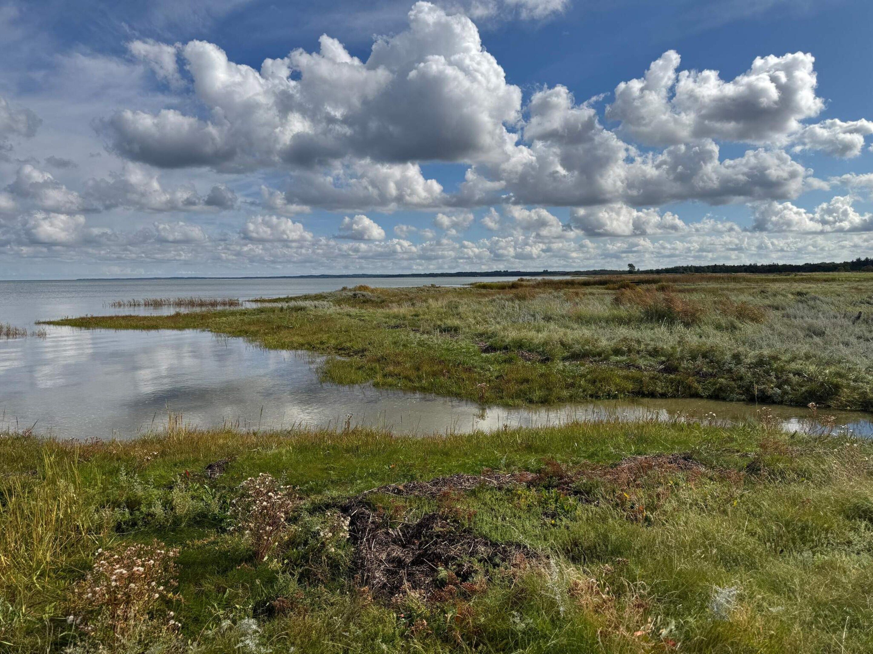 Paisaje natural con una masa de agua, zonas verdes y una línea de árboles distante bajo un cielo parcialmente nublado.