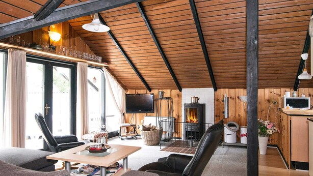 Een gezellige woonkamer met een open haard, comfortabele zitplaatsen en een televisie.