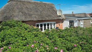 Une maison avec un toit de chaume, une antenne parabolique et une façade en briques.