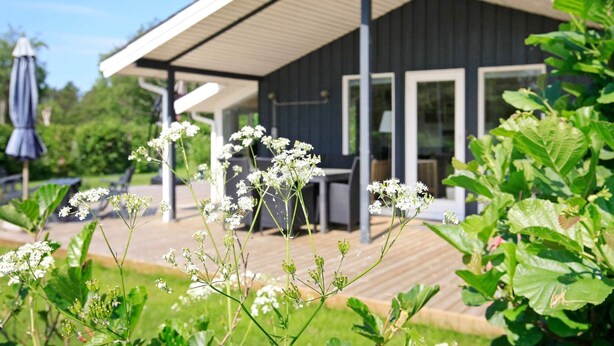 Une maison moderne dotée d’un patio couvert, de grandes fenêtres et d’un jardin agrémenté de fleurs blanches.