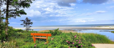 海灘