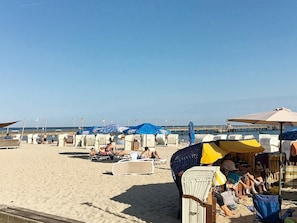 A beach with rows of beach chairs and umbrellas, a pier in the background, and a clear sky.