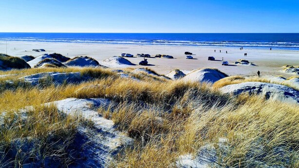 A beach with dunes and a clear blue sky. - 6 Person Holiday Home in Blokhus (Blokhus)