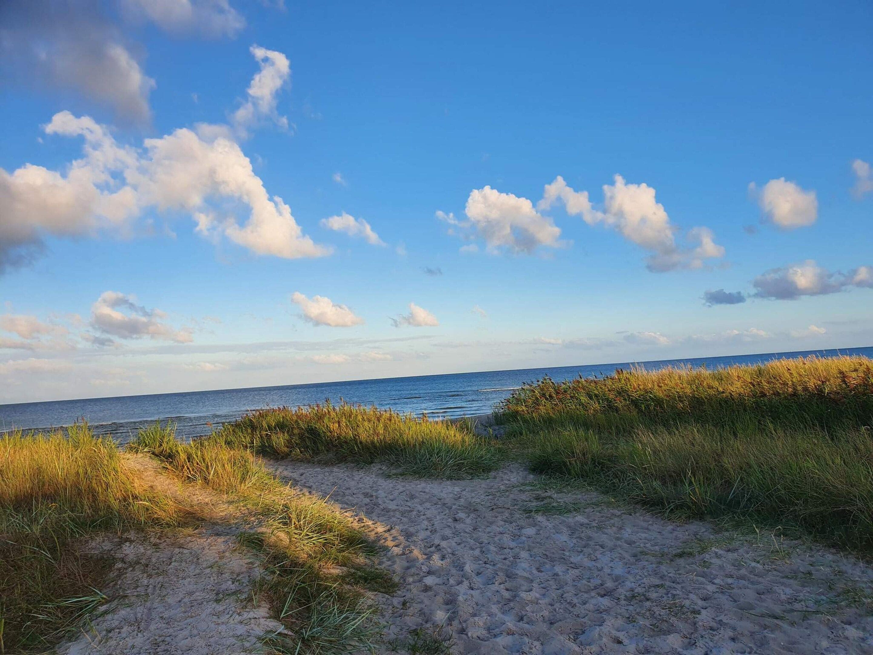 A beach path with sand and grass leading to the sea under a clear sky.