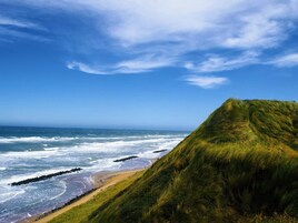 Un paisaje costero con un acantilado cubierto de hierba, playa y olas del océano.