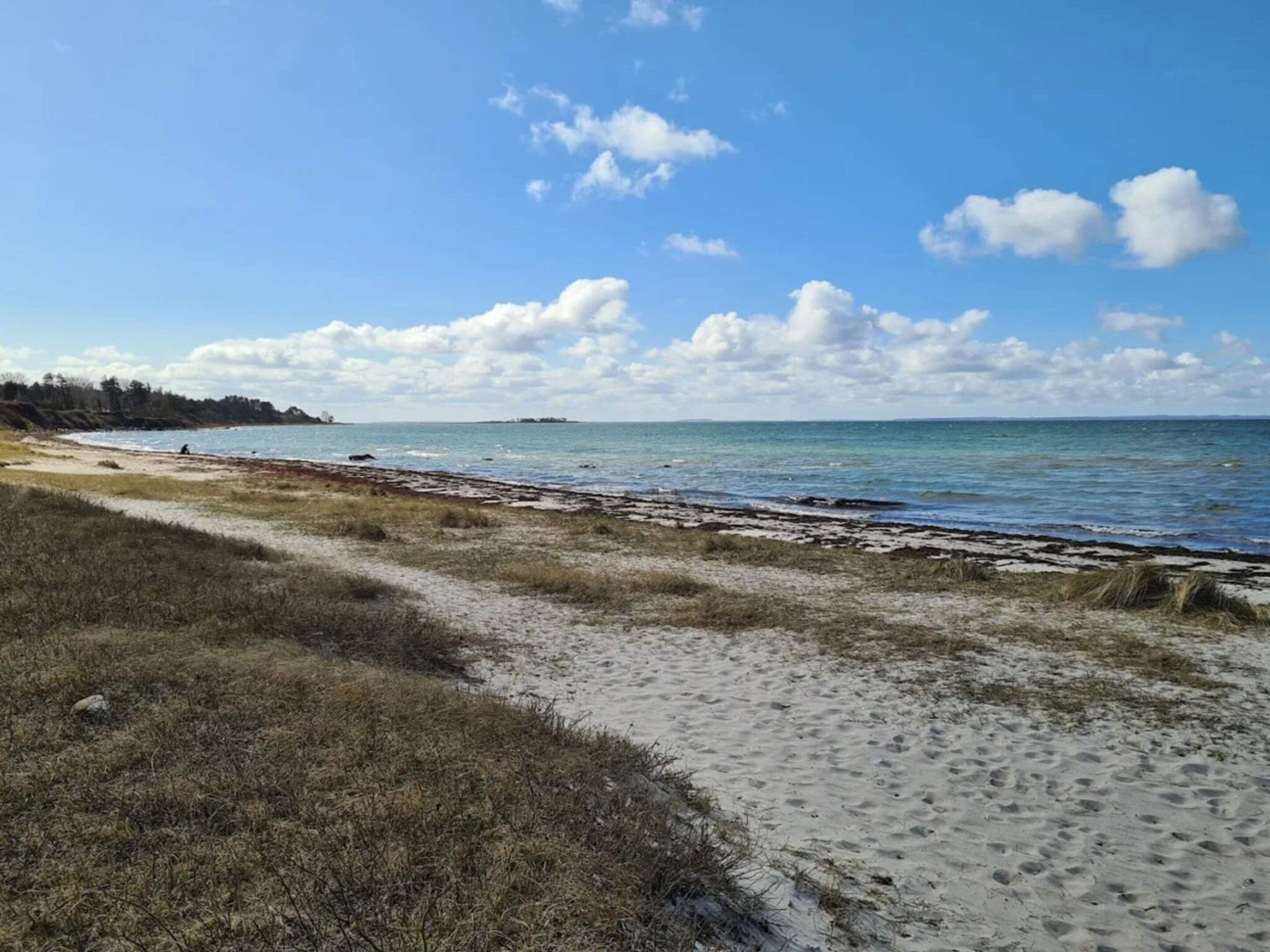 A beach with a sandy path leading to the water, a clear sky, and distant land.