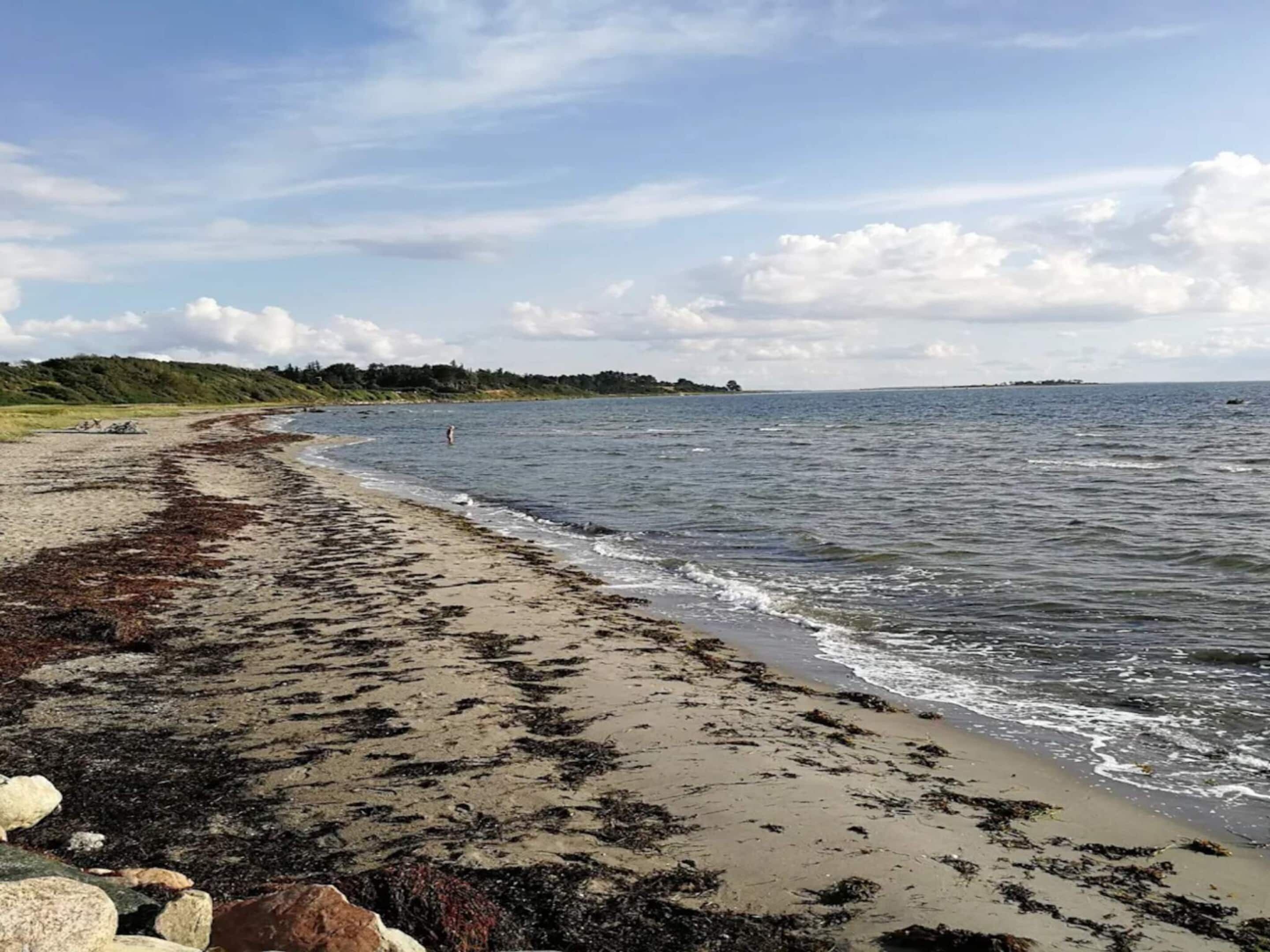 Une plage au sable recouvert d’algues, avec une eau calme et une île visible au loin.
