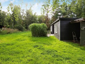 A wooden shed with a door and windows, a grassy yard with a bush, and a ladder leaning against the shed.