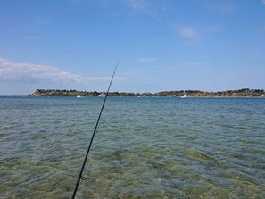 Une canne à pêche dans une eau claire, avec une côte visible au loin.