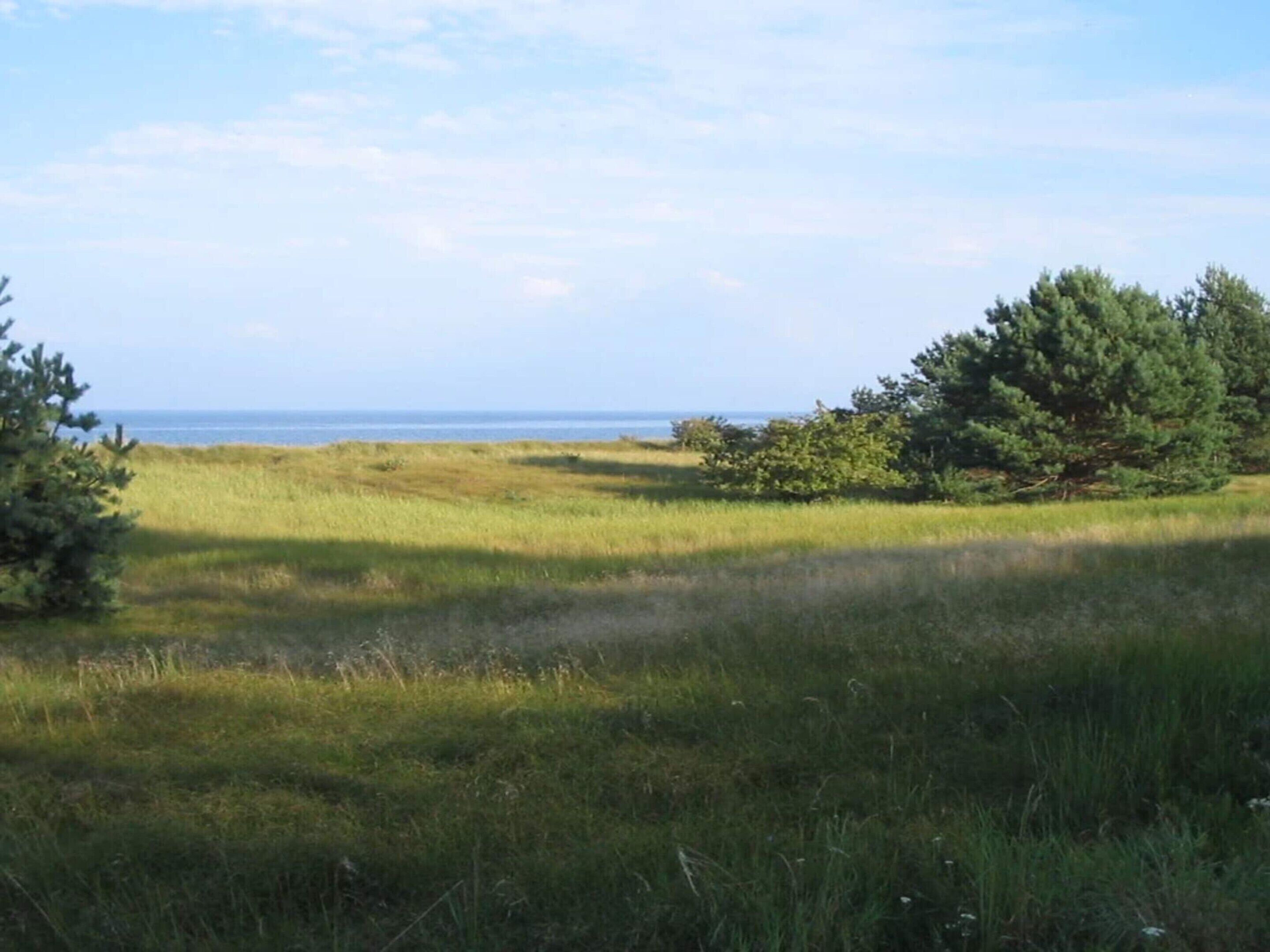 Un prato erboso con alberi e vista sull'oceano.