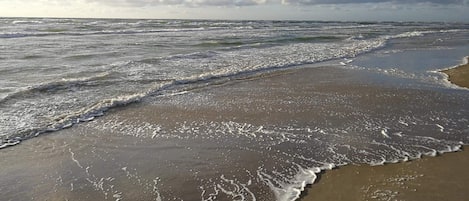 수변 전망