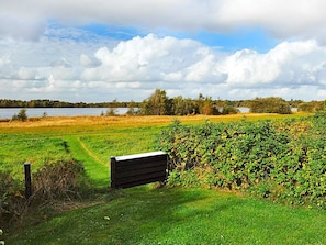 A grassy field with a wooden bench and a hedge.