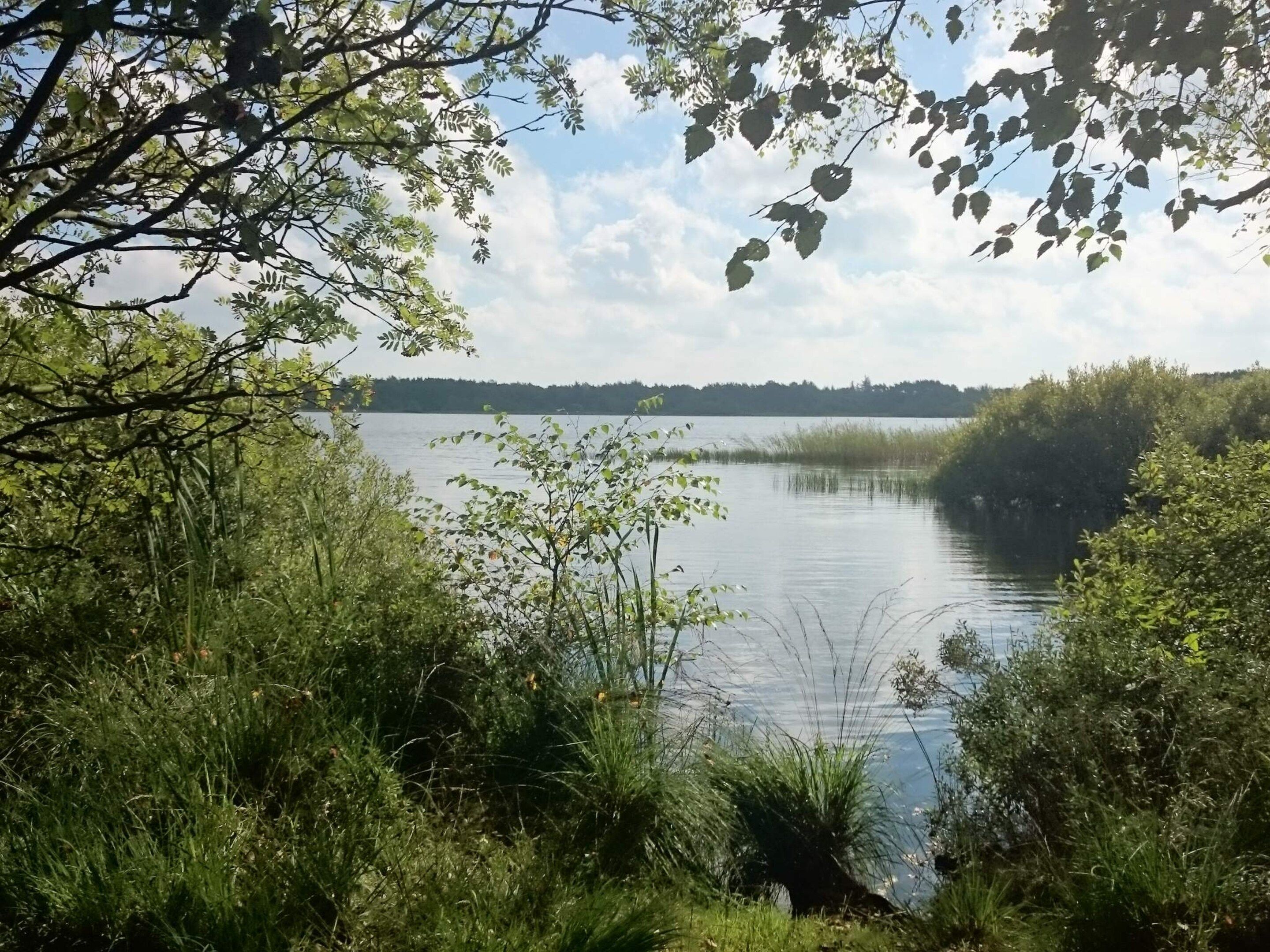 A natural landscape with a body of water, surrounded by dense vegetation and trees.