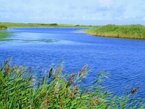 A calm body of water with grassy banks and a clear sky. - Tasteful Holiday Home in Hemmet near Sea (Hemmet)